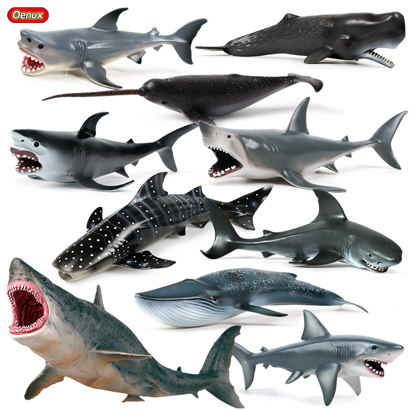 Kids Without Education - Oenux Sea Life Savage megaodon wielki