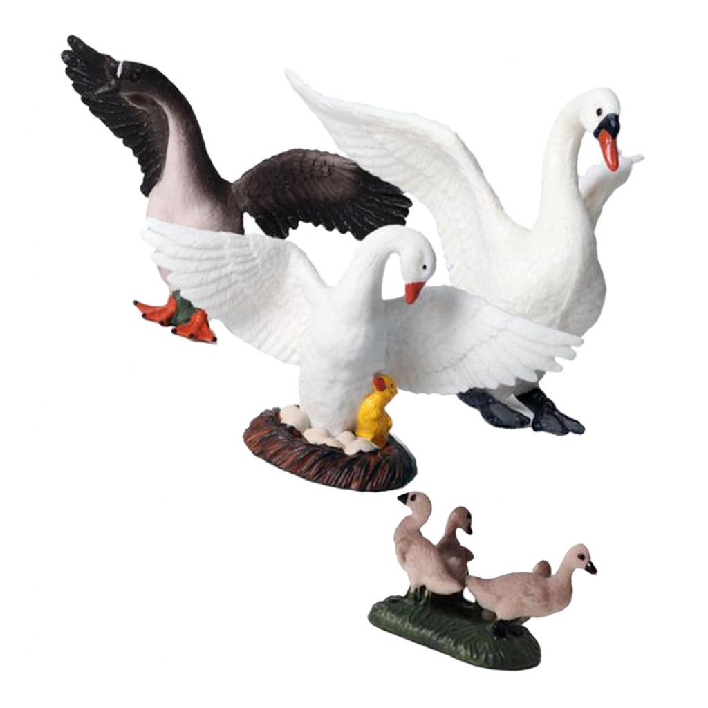 Kids Education Shows - Realistyczne figurki łabędzi, wyglądające jak prawdziwe