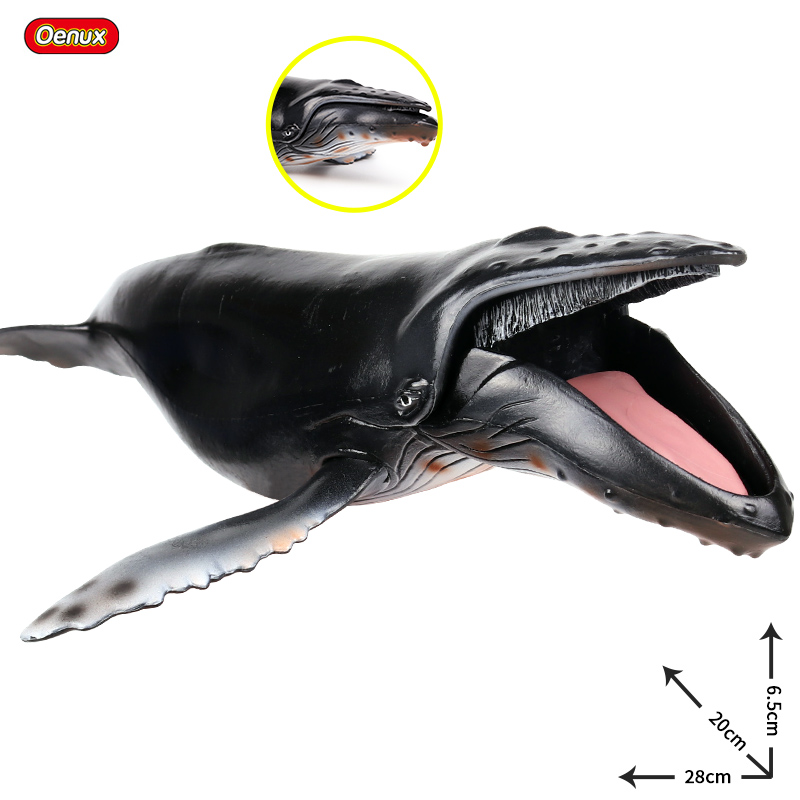 Oenux Sea Life Savage megaodon – Kids Without Education recenzja i cena